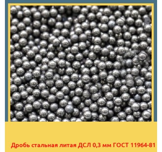 Дробь стальная литая ДСЛ 0,3 мм ГОСТ 11964-81