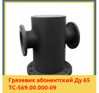 Грязевик абонентский Ду 65 ТС-569.00.000-09 в Шымкенте