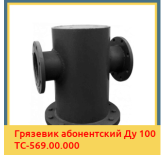 Грязевик абонентский Ду 100 ТС-569.00.000 в Шымкенте