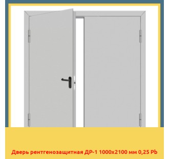 Дверь рентгенозащитная ДР-1 1000х2100 мм 0,25 Pb