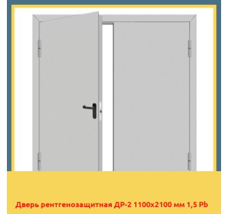 Дверь рентгенозащитная ДР-2 1100х2100 мм 1,5 Pb