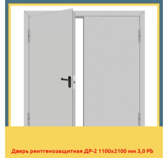 Дверь рентгенозащитная ДР-2 1100х2100 мм 3,0 Pb
