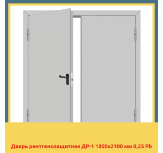 Дверь рентгенозащитная ДР-1 1300х2100 мм 0,25 Pb