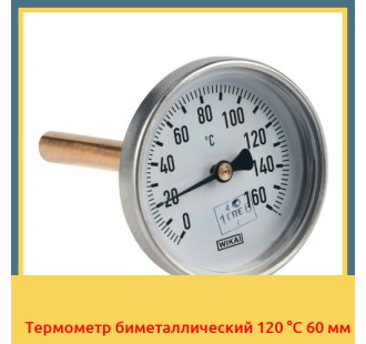 Термометр биметаллический 120 °С 60 мм в Шымкенте