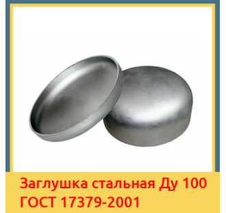 Заглушка стальная Ду 100 ГОСТ 17379-2001 в Шымкенте
